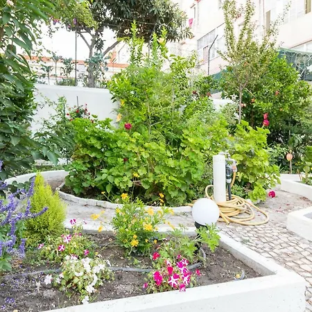 Graca Palace With Private Pool Garden Lisbona Esterno foto