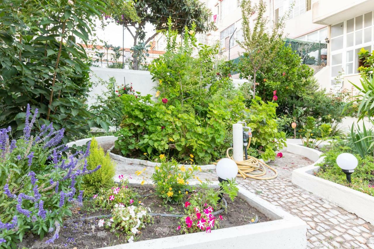 Graca Palace With Private Pool Garden Appartement
